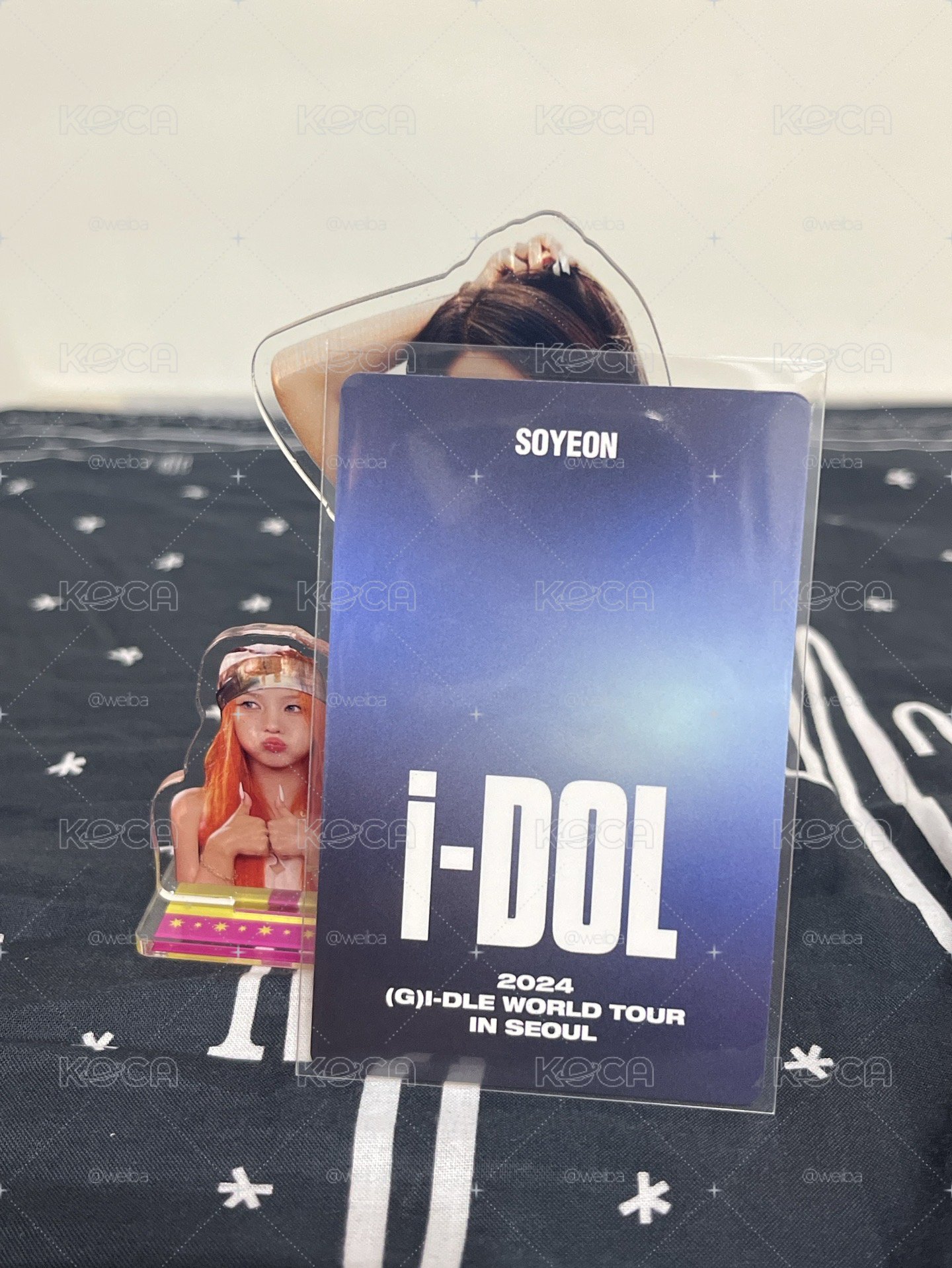 24世巡演唱會 iDOL  DVD卡 愛心娟