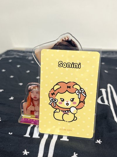 minini 快閃 娟娃卡 卡背sonini