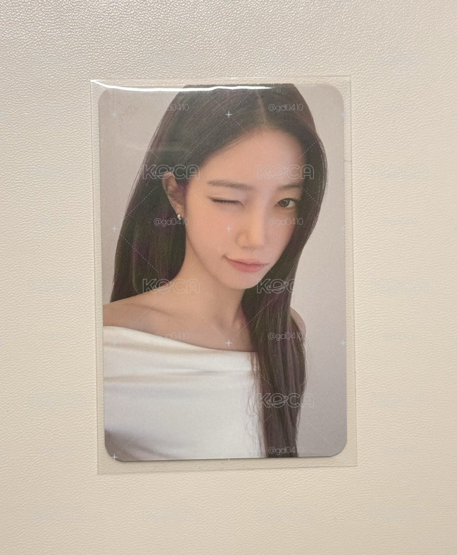 阿拉丁葉