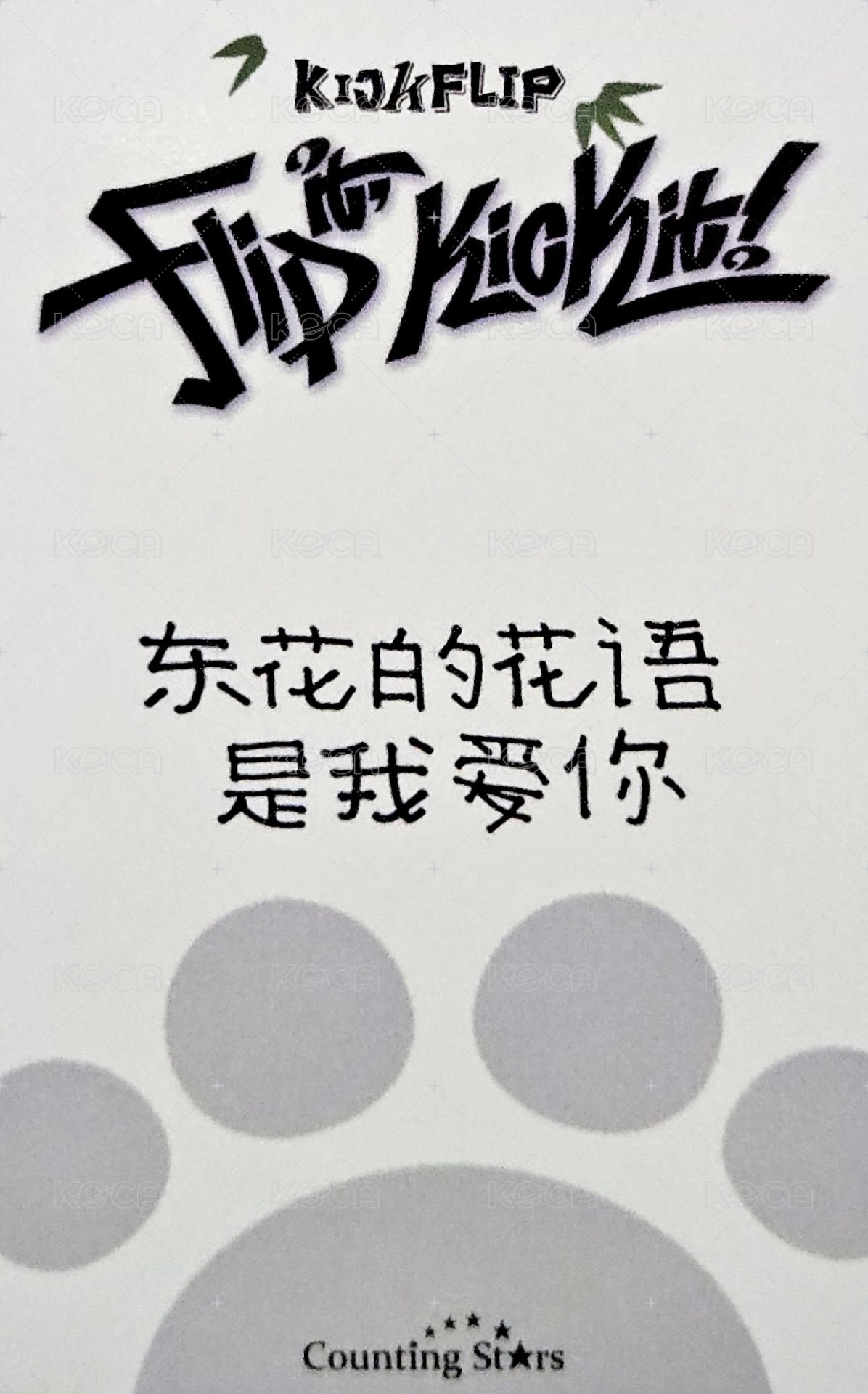 迷一 數星星 3.0 簽售卡 熊貓ver. 背面
