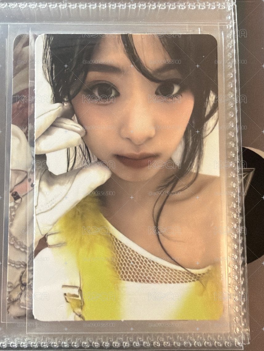 辣醬 賢 卡冊卡