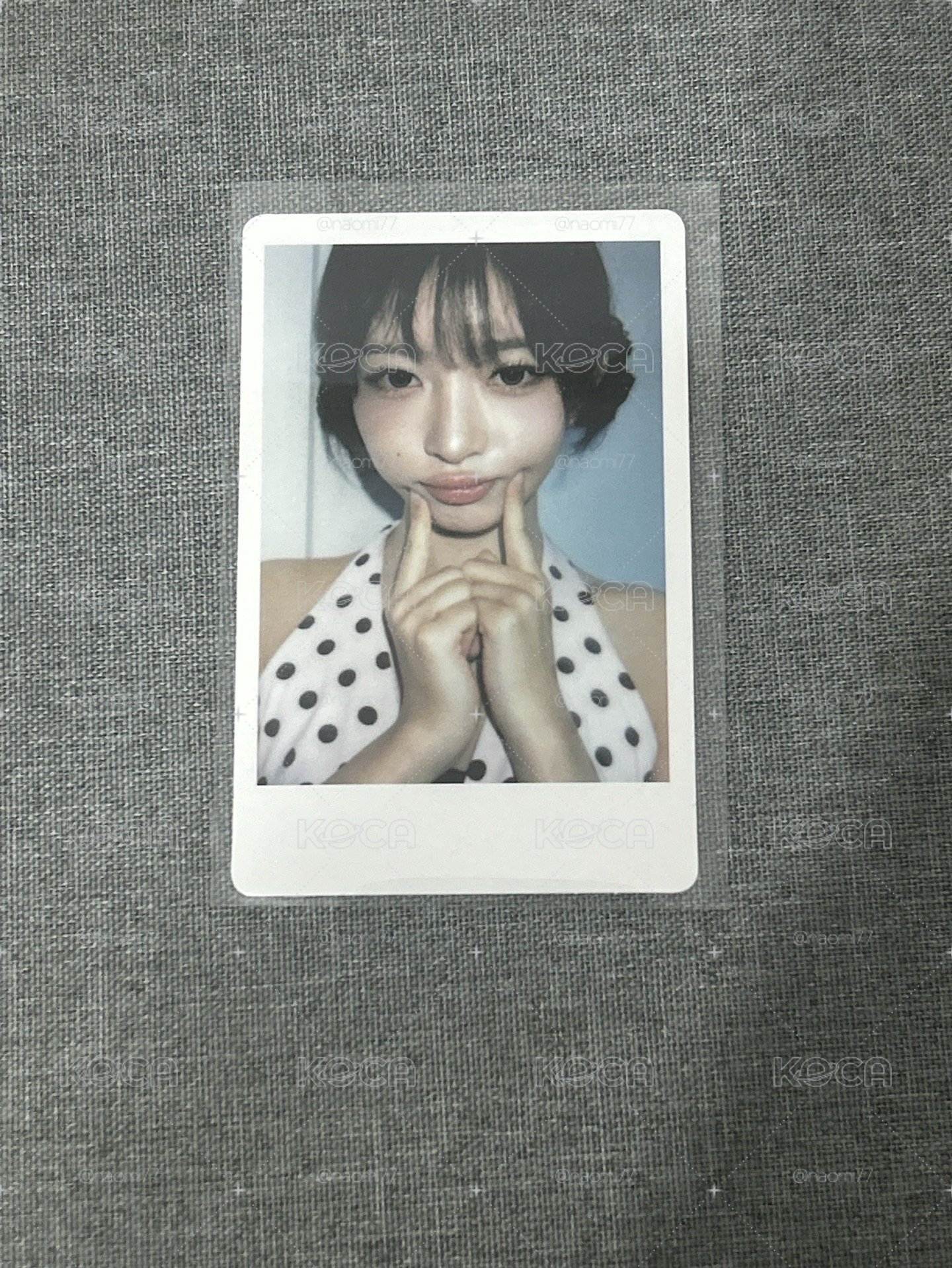 wm怜拍
