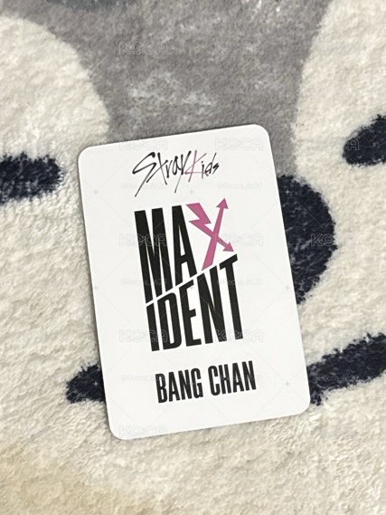 燦🐺 MAXIDENT mk 特典卡 