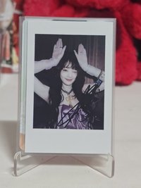 兔耳🐱