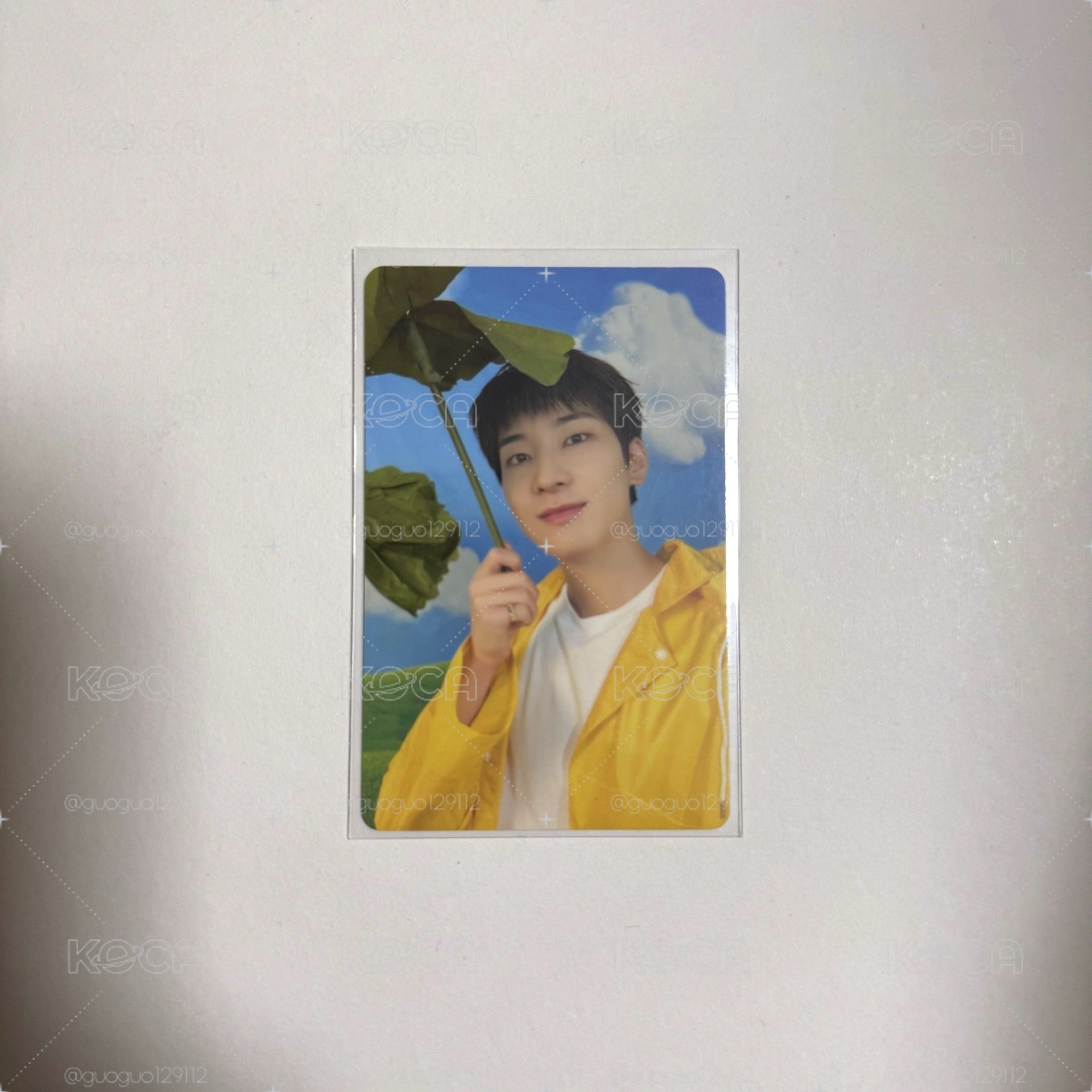 迷11 專輯卡 CARAT 