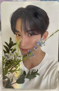 精選專 專輯卡 CARAT ver.