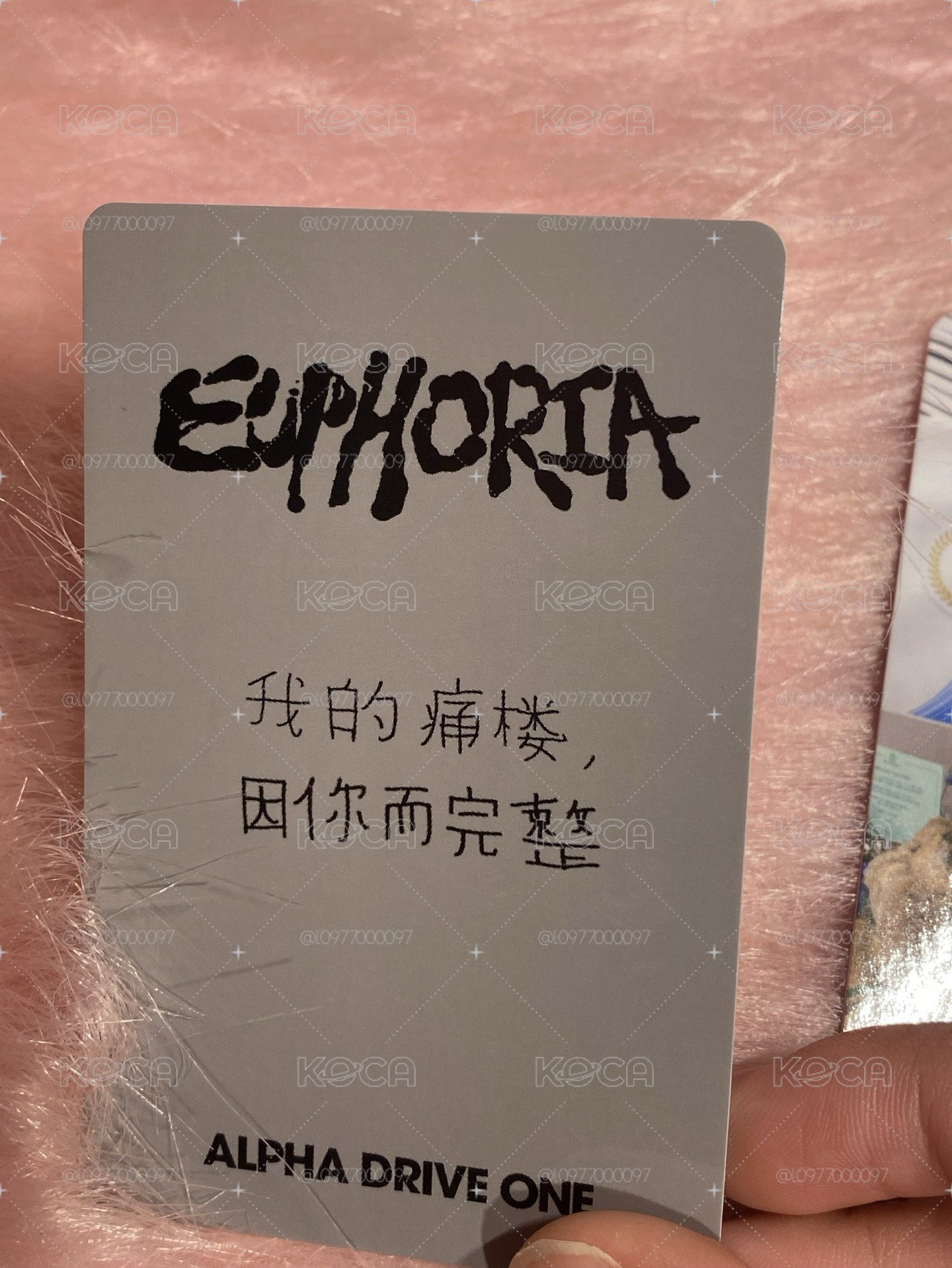 LEO貓貓拳