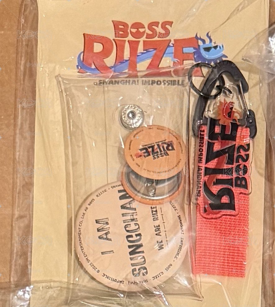 BOSS RIIZE 成燦徽章組