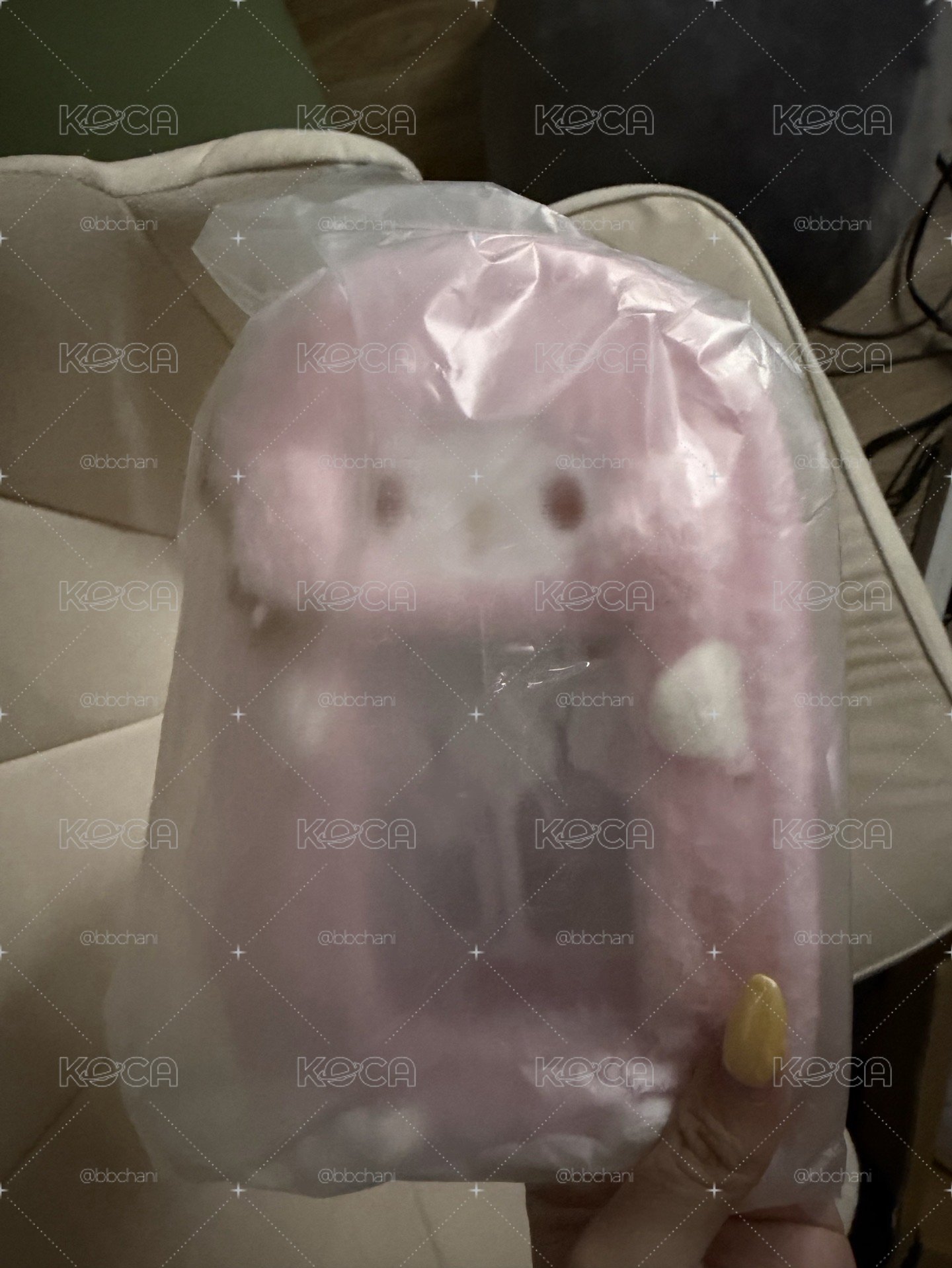 彼安諾
