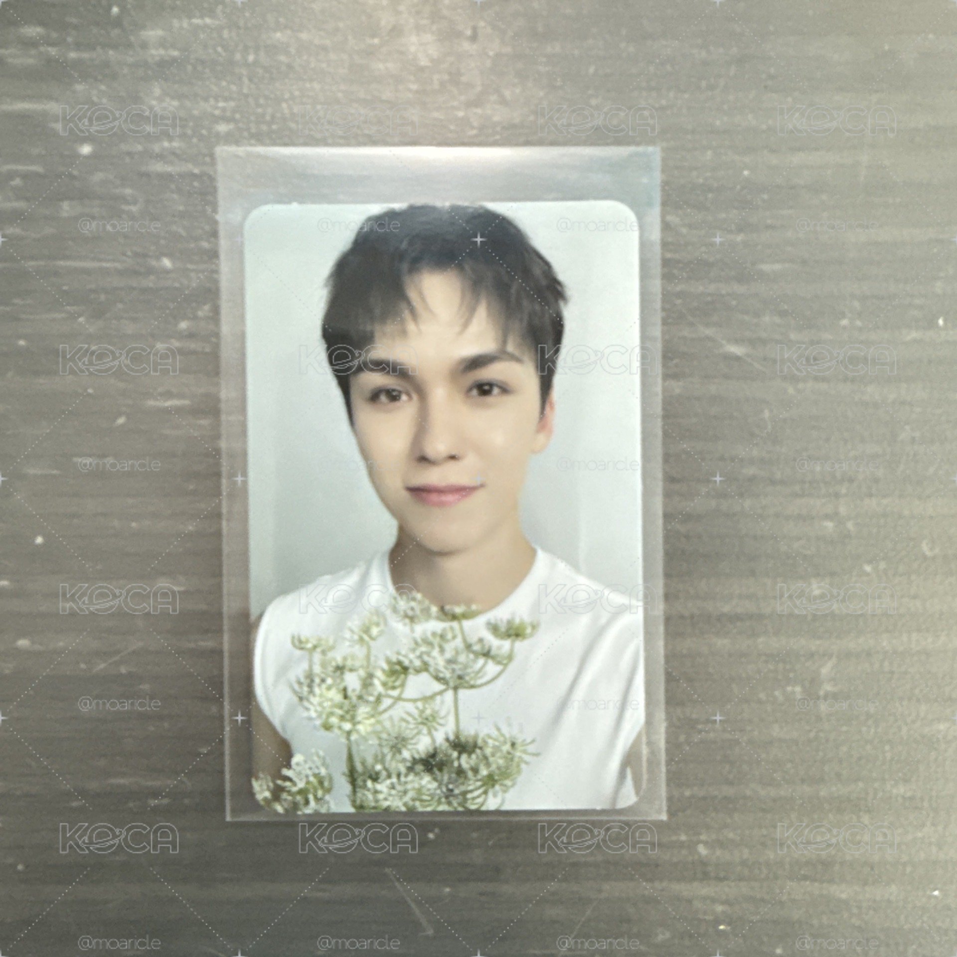 👑SVT 小啵 正五WVS特典 克拉盤