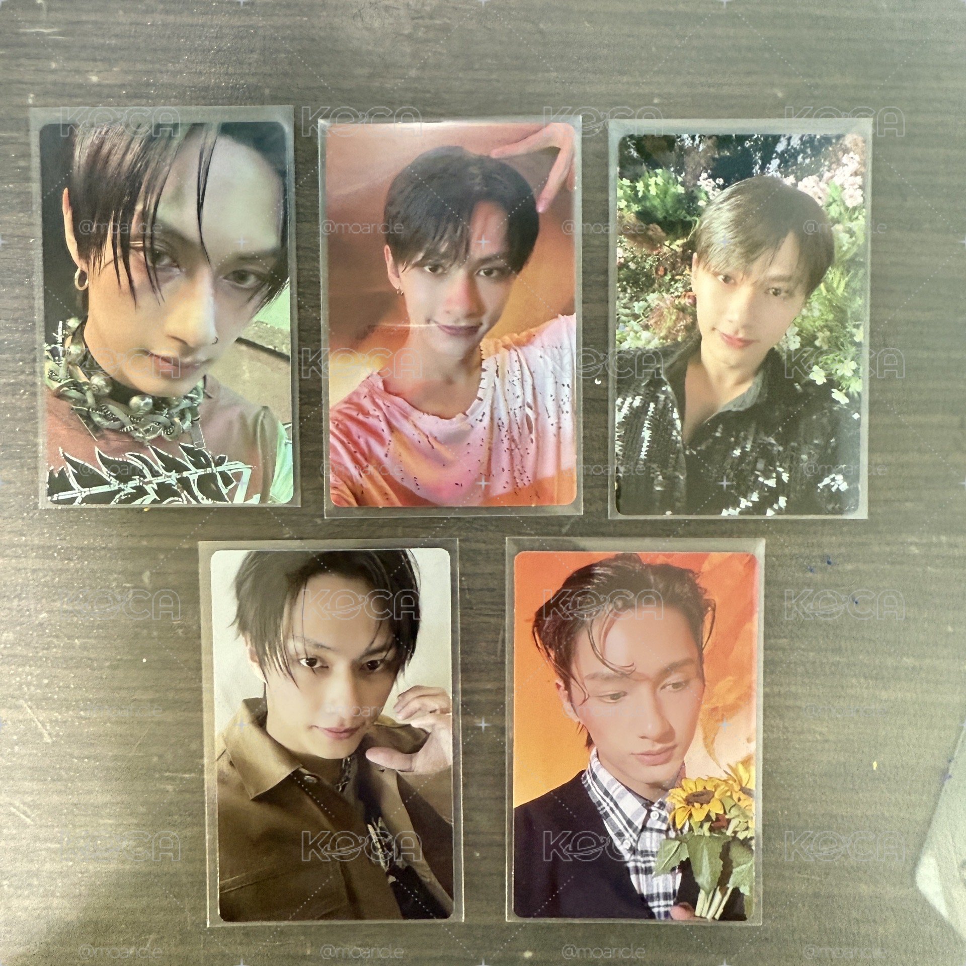 👑SVT 俊 JUN 整圖 專卡 特典