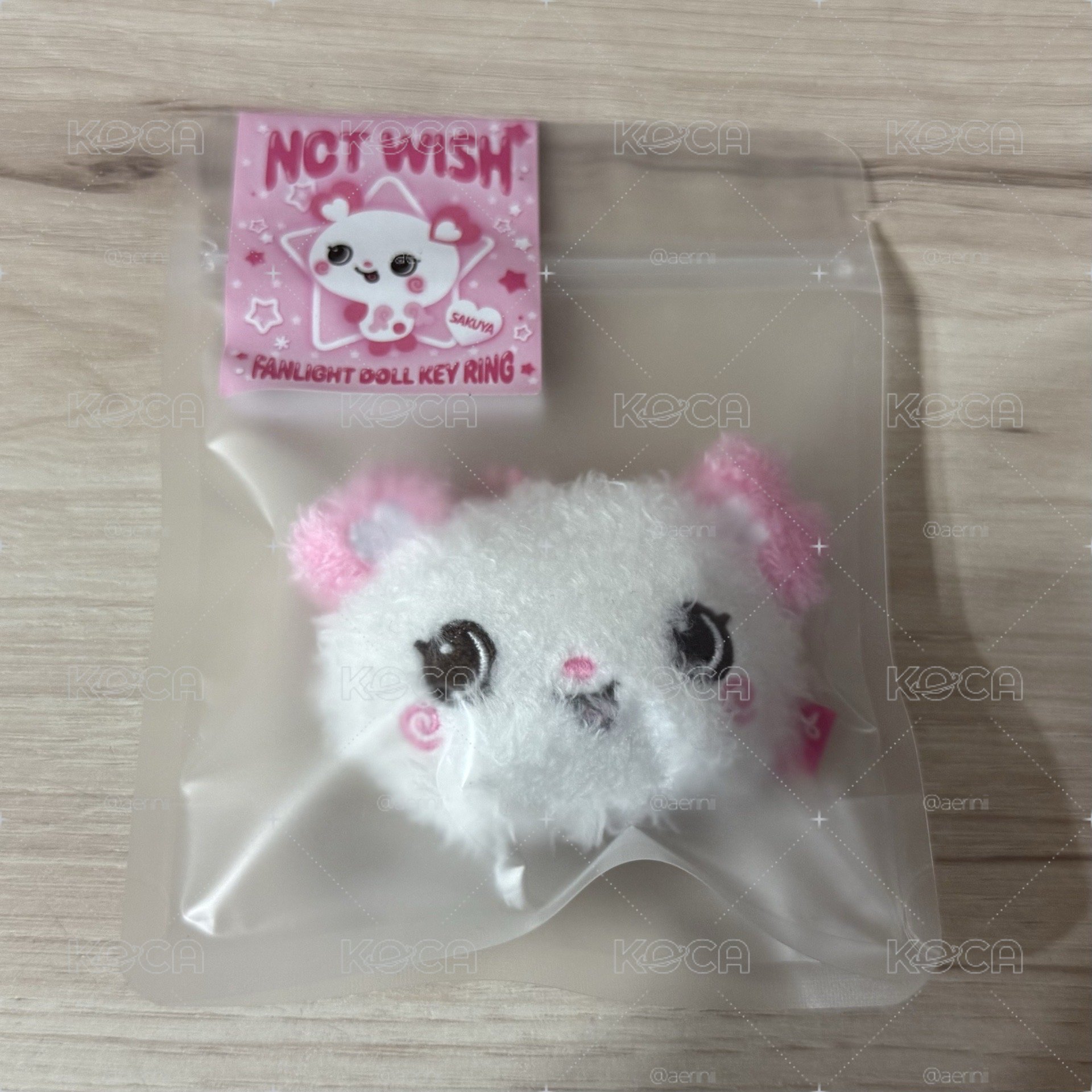 NCTWISH sakupang 糰子