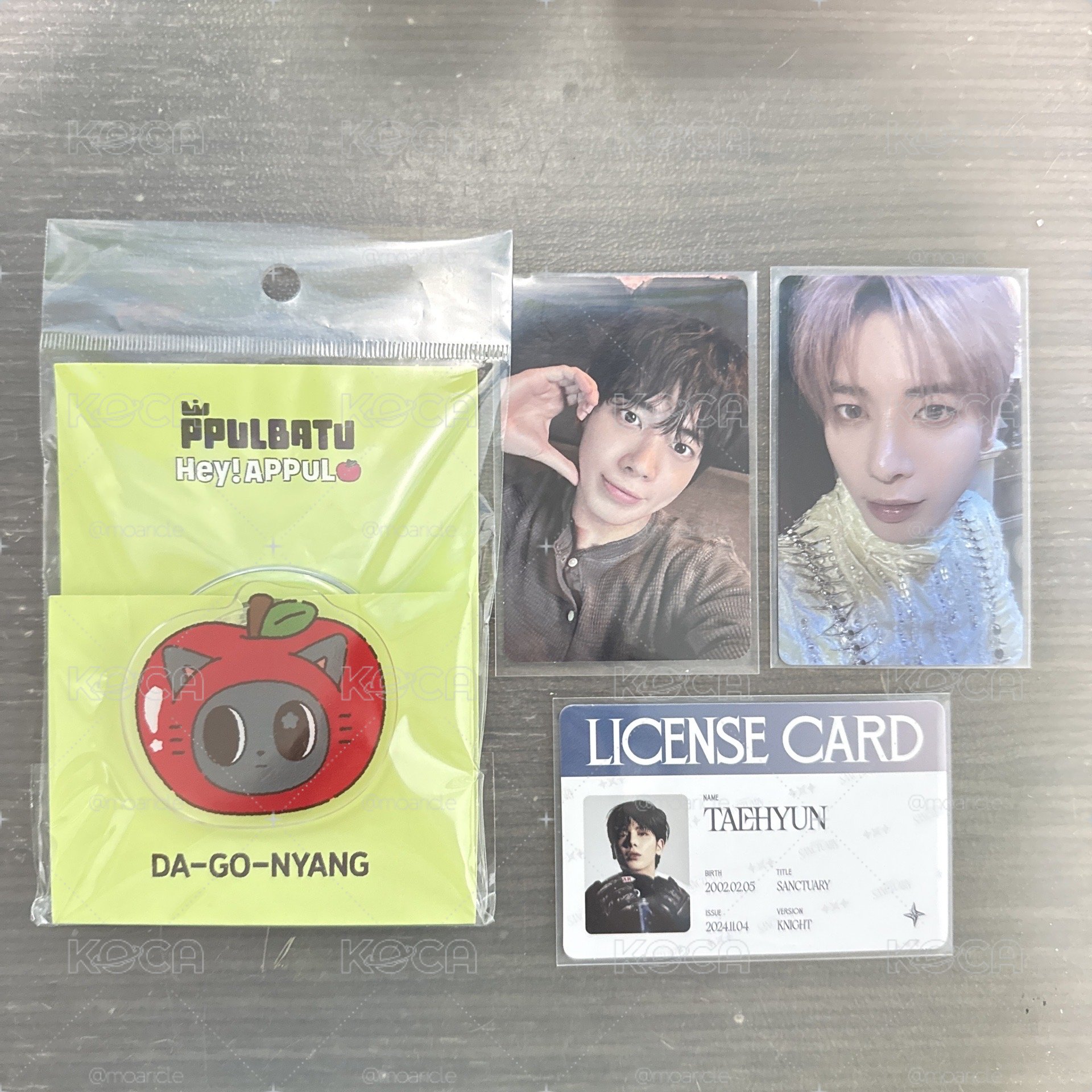 🌸TXT 全新松喵支架+三張顯卡 整圖出