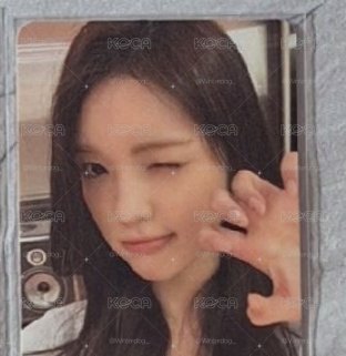 貓爪yuha