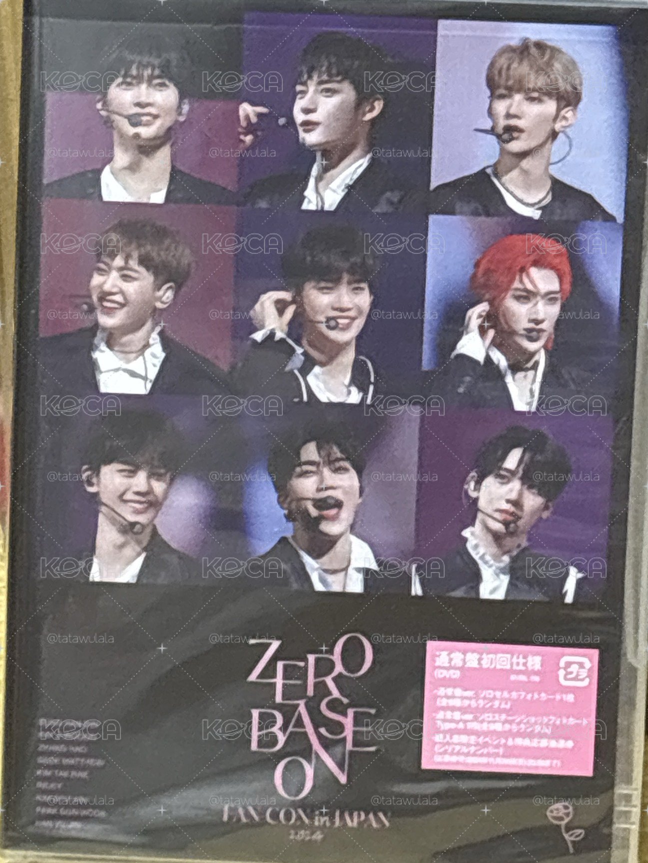 zb1 日本facon DVD 空專無小卡