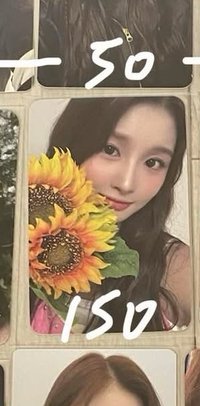 拿花🌻