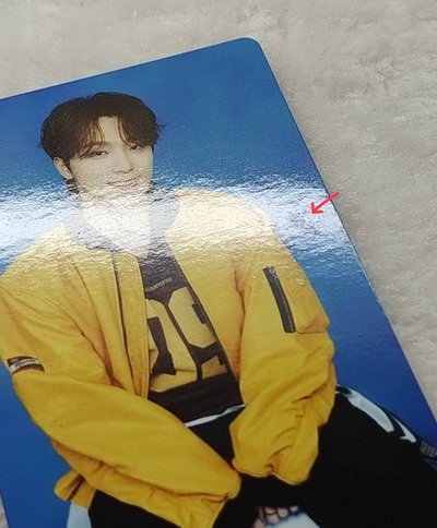 SEVENTEEN dino 李燦 小卡、徽章