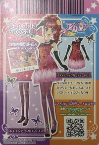 R卡