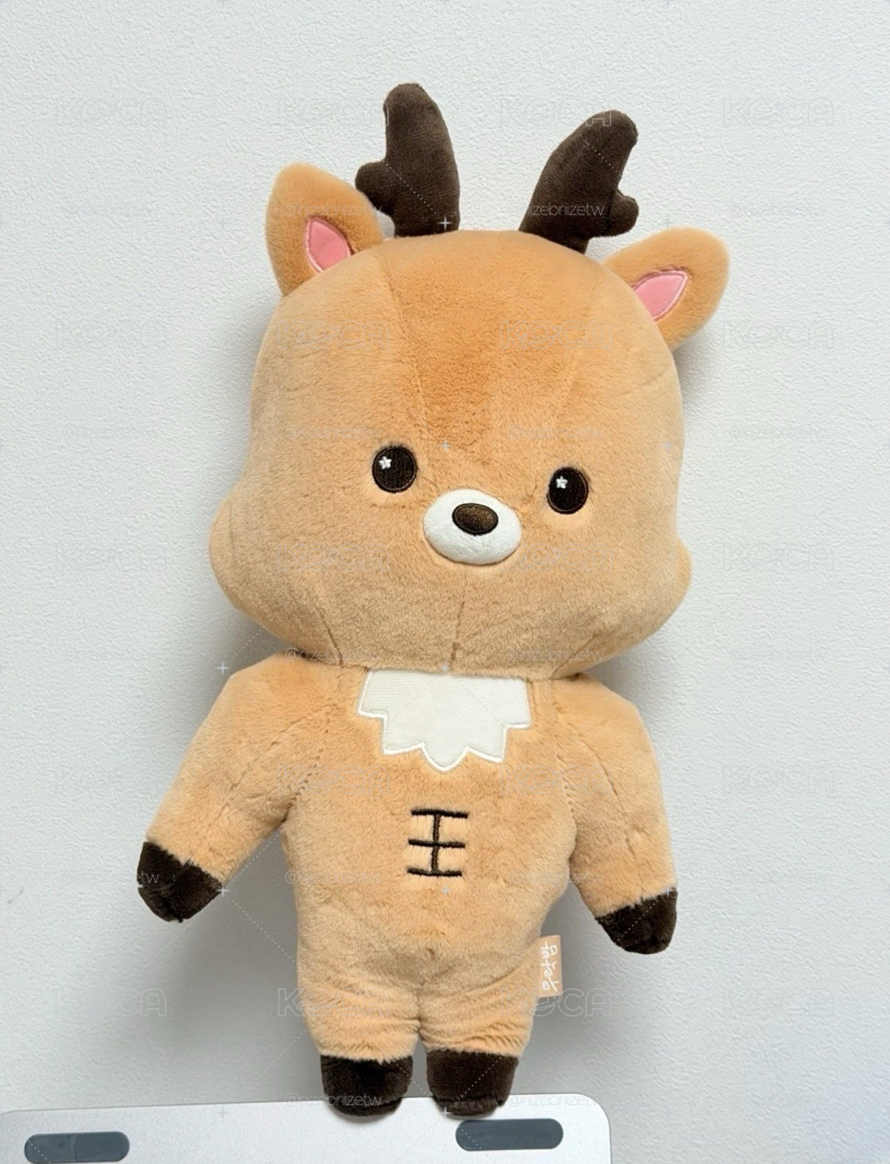RIIZE 烏拉鹿40cm娃