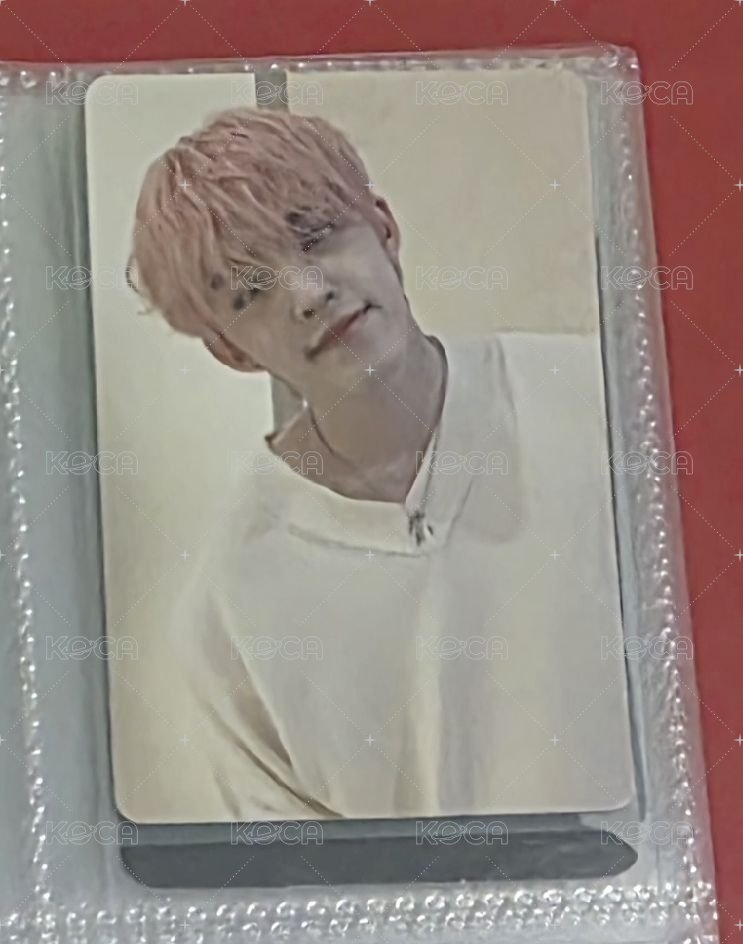 哲 b盤