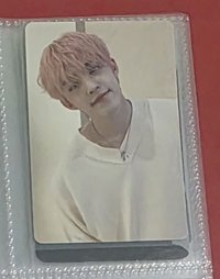哲 b盤