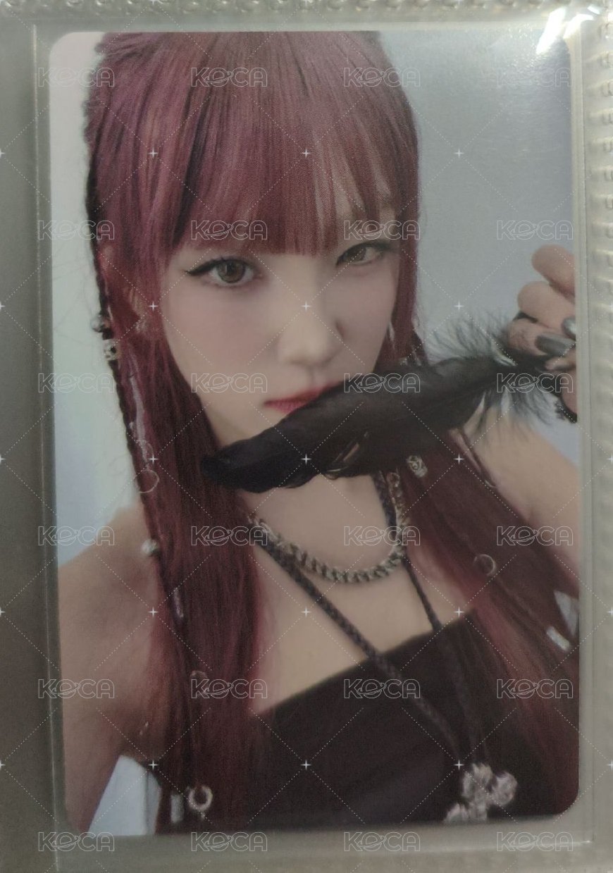 烏鴉專卡 琦