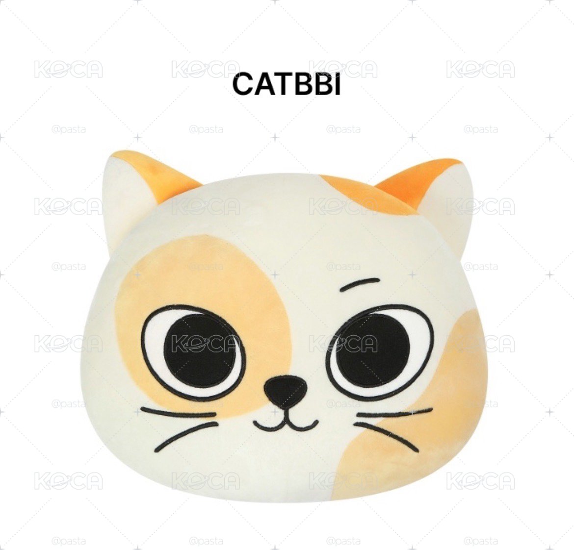BBNEXDO 抱枕 CATBBI