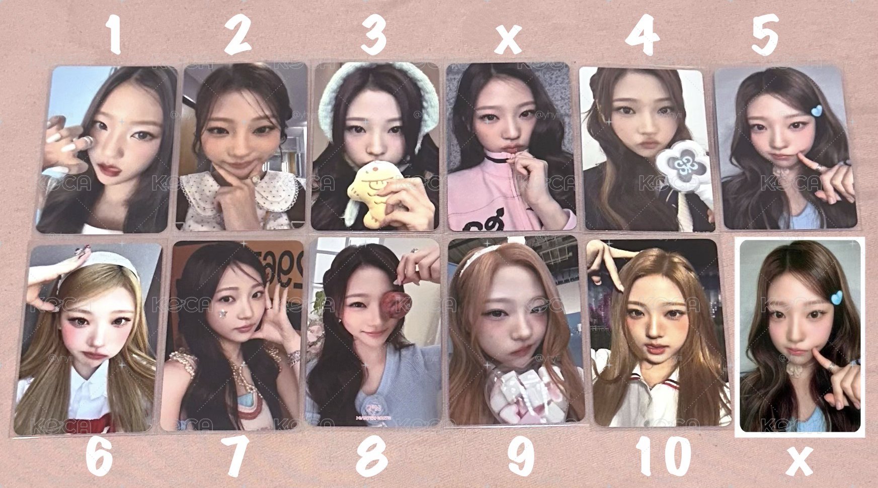 【出清】Stella 🧁