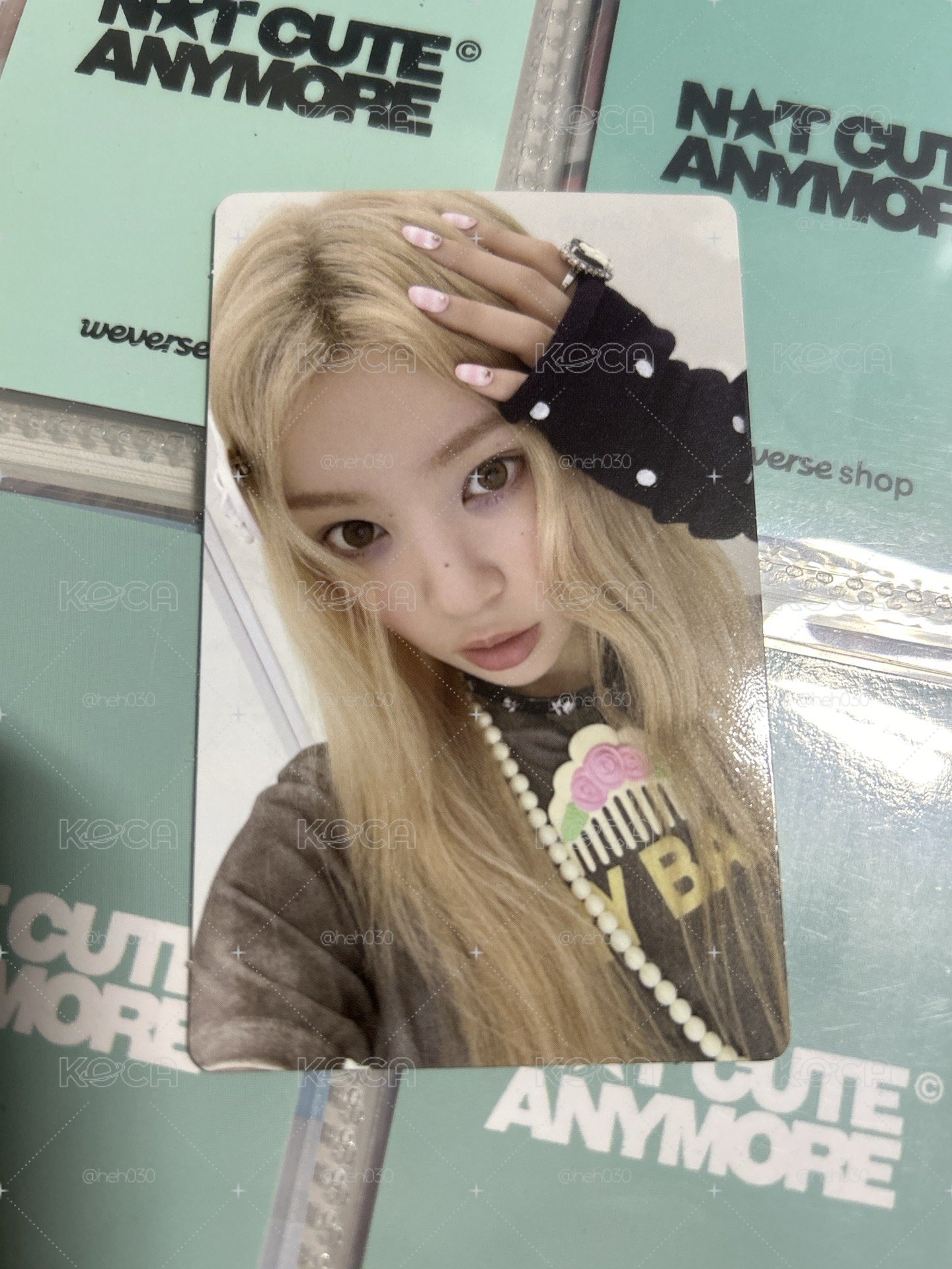 NOT CUTE ANYMORE wvs預售