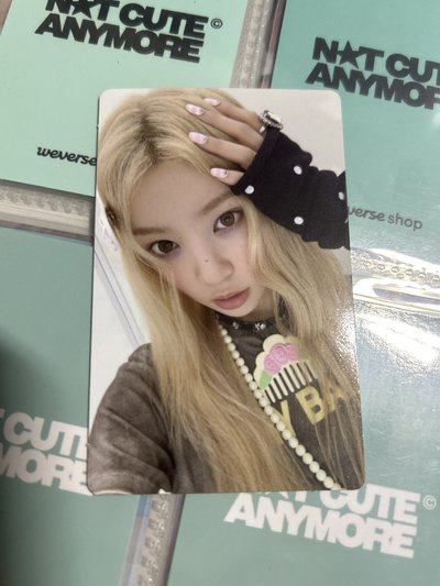 NOT CUTE ANYMORE wvs預售