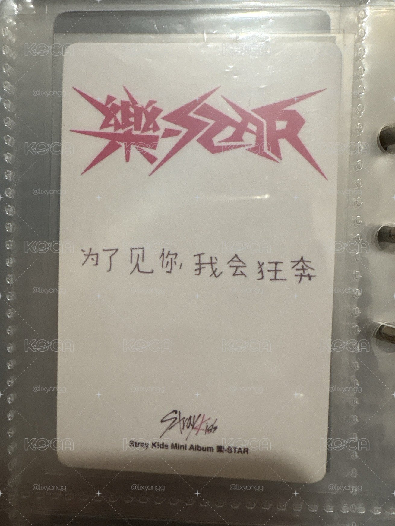 kms中背菲（須多帶）