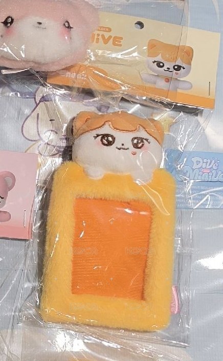 卡套栗