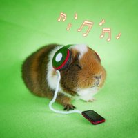 鼠一鼠二