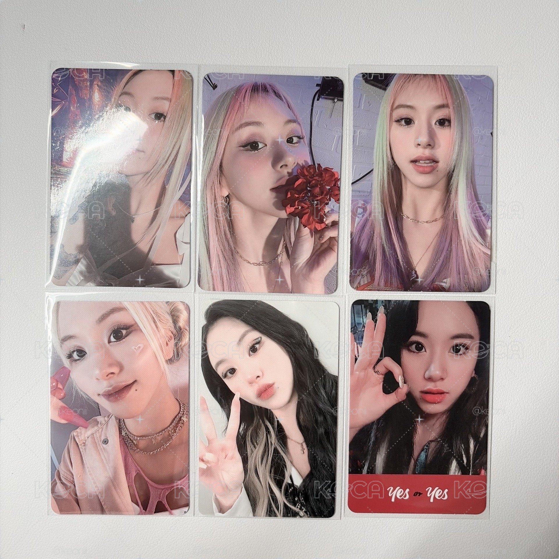  ꒰ 🐰 ꒱ 