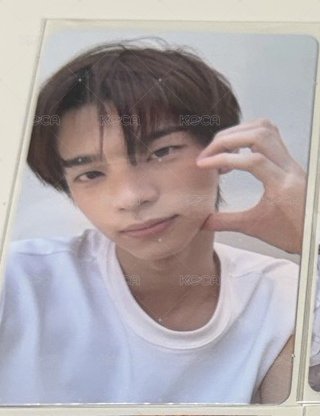 迷二wvs