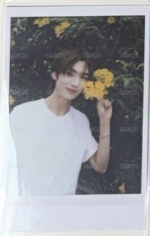 拿花花拍立得