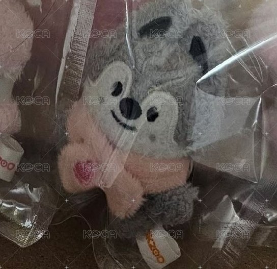 原皮燦