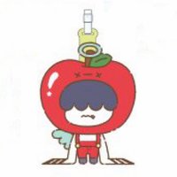 APPUL 行李吊牌 