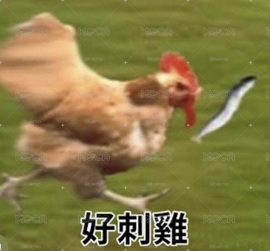 包材福袋
