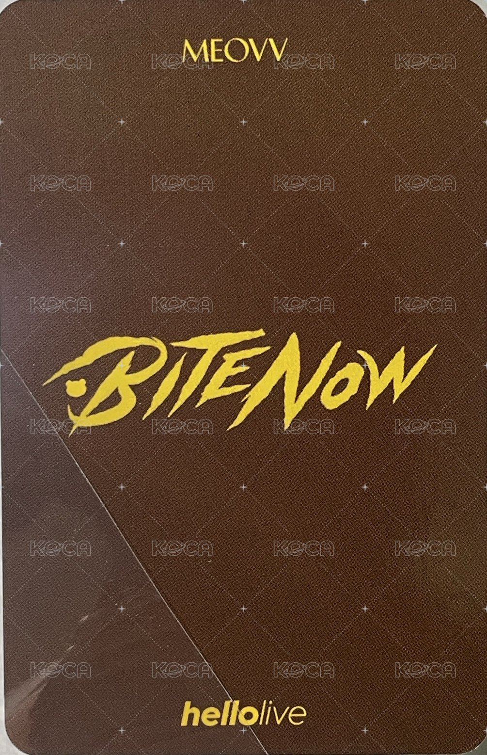 BITE NOW hl 線下3.0 簽售卡 小熊🐻 背面