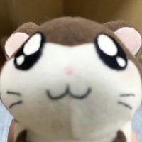 將太郎世首萌
