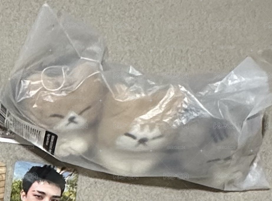 順東多 旻貓旻貓周邊
