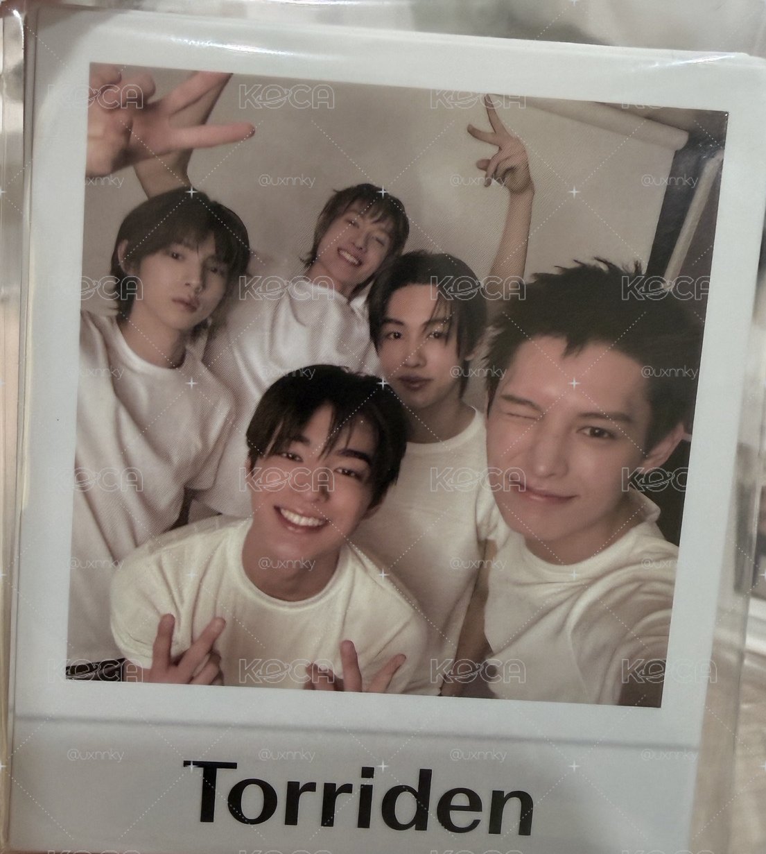 Torriden 代言小卡 未拆一套