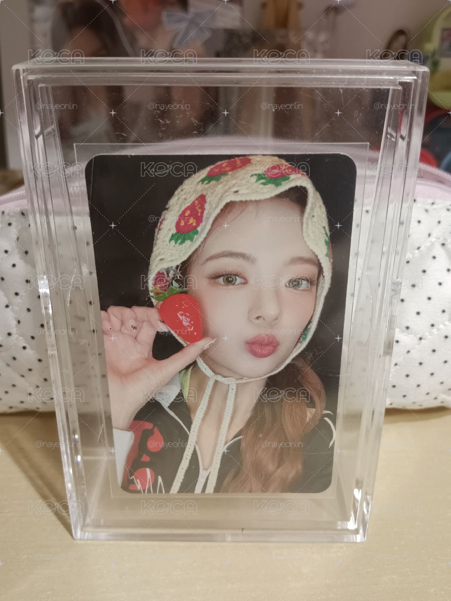 草莓粒🍓