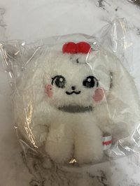 原皮10公分娃-員