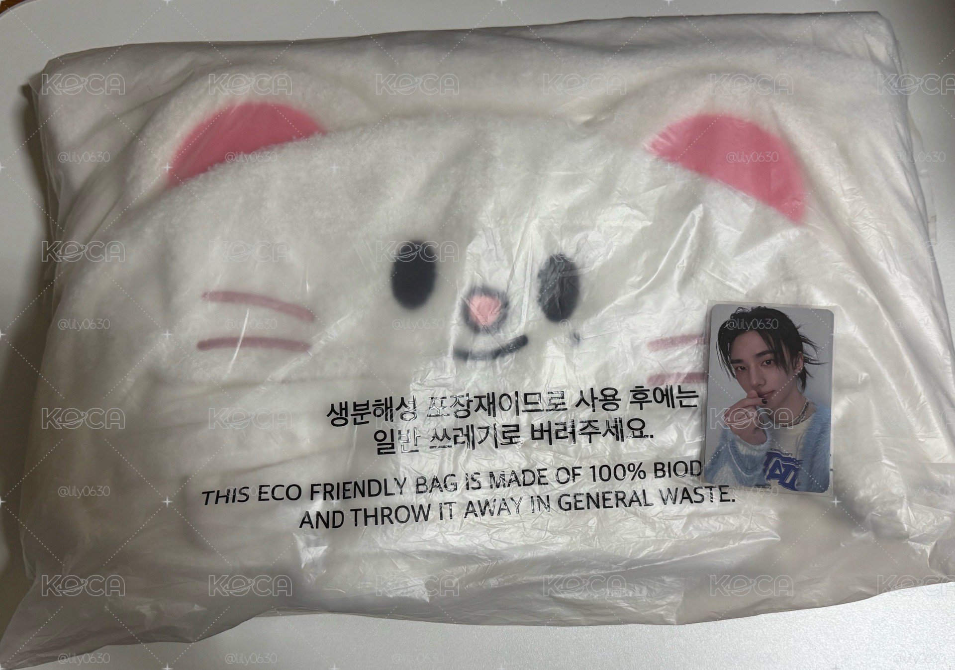 辰飯咪毛毯含卡（需綁賣場內任意商品滿500）