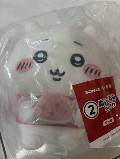 《現貨》吉伊娃 台北/台南可面交