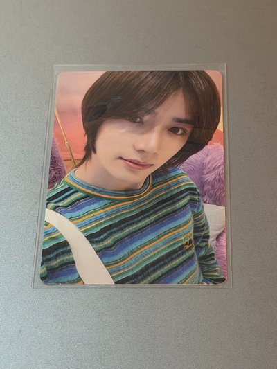 圭