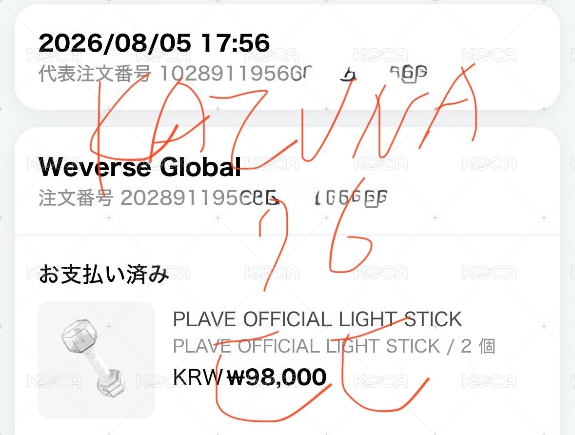 【預購】PLAVE手燈