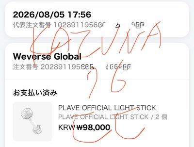 【預購】PLAVE手燈